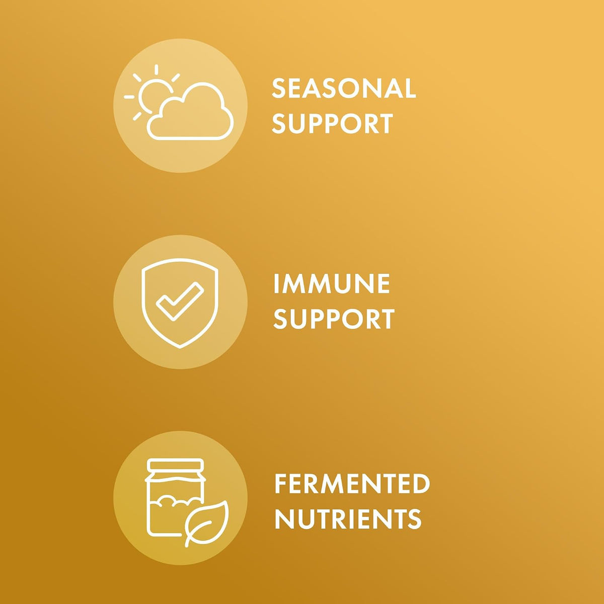 Dr. Mercola Fermented Beta Glucans - Immune Support Supplement with Beta-1,3-Glucan and EpiCor - 60 Capsules - görsel 3