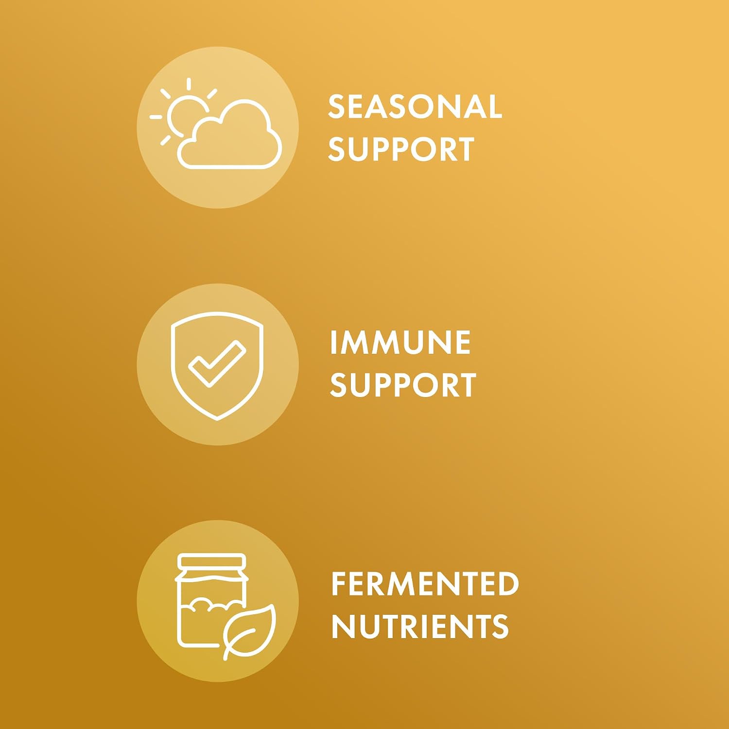Dr. Mercola Fermented Beta Glucans - Immune Support Supplement with Beta-1,3-Glucan and EpiCor - 60 Capsules - görsel 3