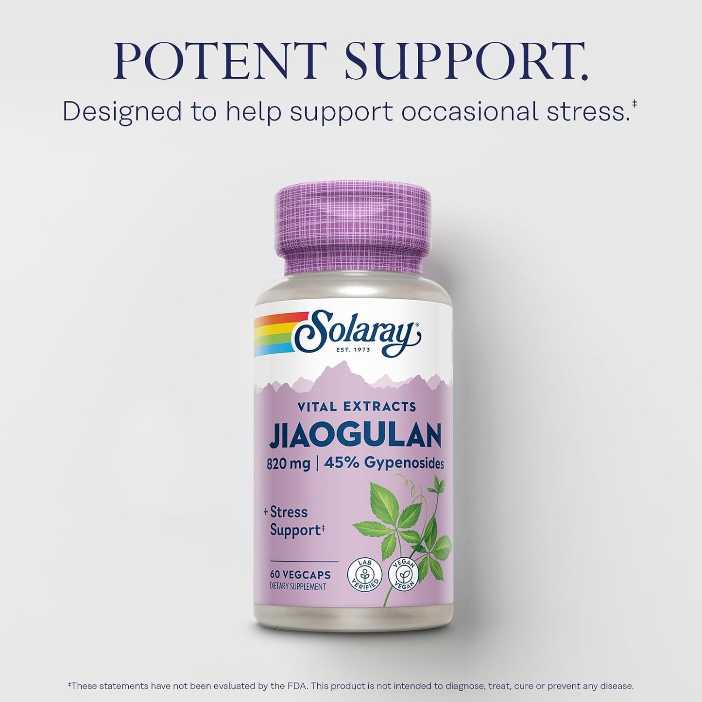 SOLARAY Jiaogulan Root and Rhizome Extract – Gynostemma Pentaphyllum Supplement, 60 VegCaps - görsel 3