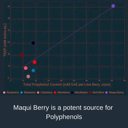Maqui Berry, 60 Capsules | 500mg Each, Antioxidant (High ORAC), Immune System Support, Supports Dry Eyes (Supports Tear Production), Standardised Extract (10% Anthocyanins)