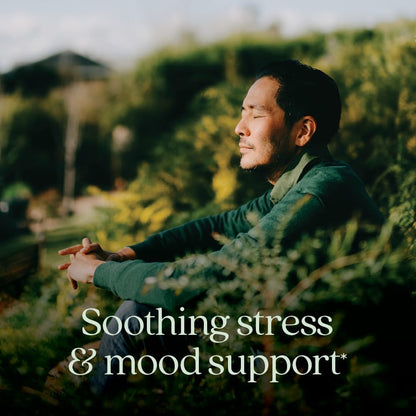 New Chapter Perfect Calm Daily Multivitamin for Stress & Mood Support - 144 Count