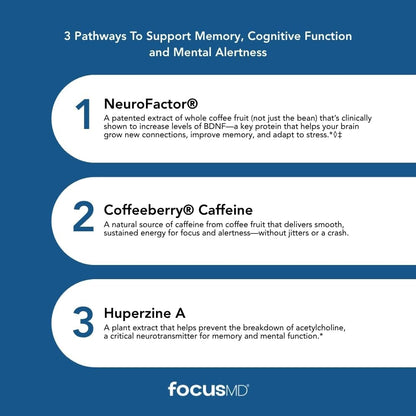 ScimeraMD FocusMD Brain Supplement with Nootropic Organic Coffeeberry and Huperzine A - 30 Capsules