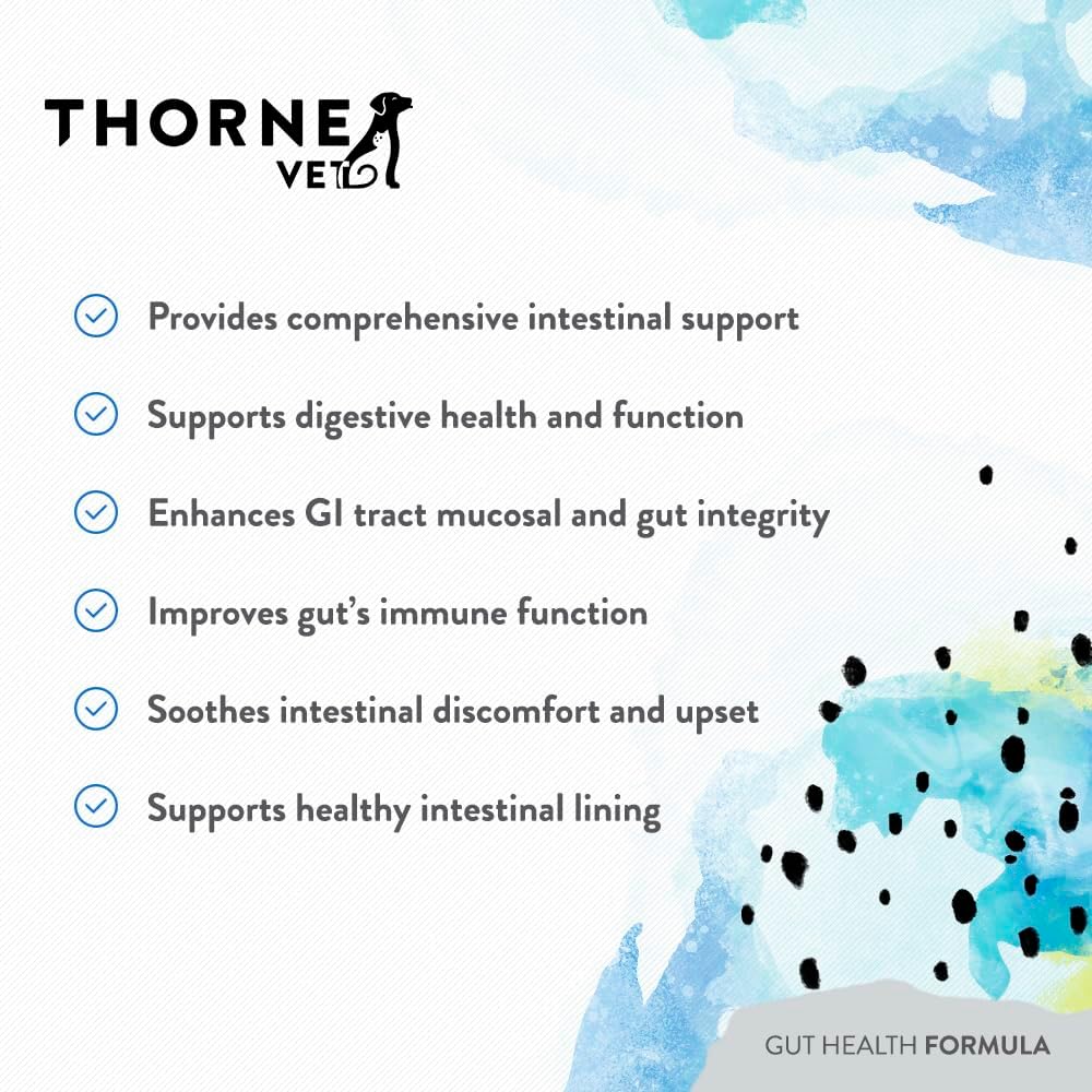 ThorneVET Gut Health Formula – – B Vitamins: B vitamins are vital for energy metabolism and nervous system – Image 4