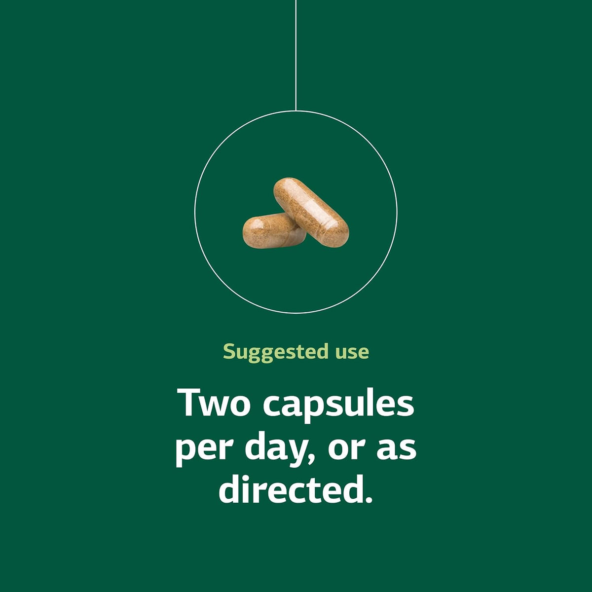 Standard Process Neuroplex – Nervous and Endocrine System Support – 90 Capsules - görsel 5