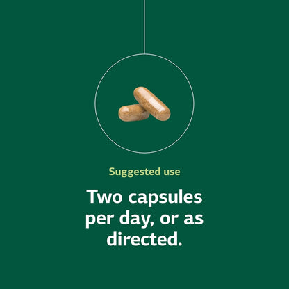 Standard Process Neuroplex – Nervous and Endocrine System Support – 90 Capsules