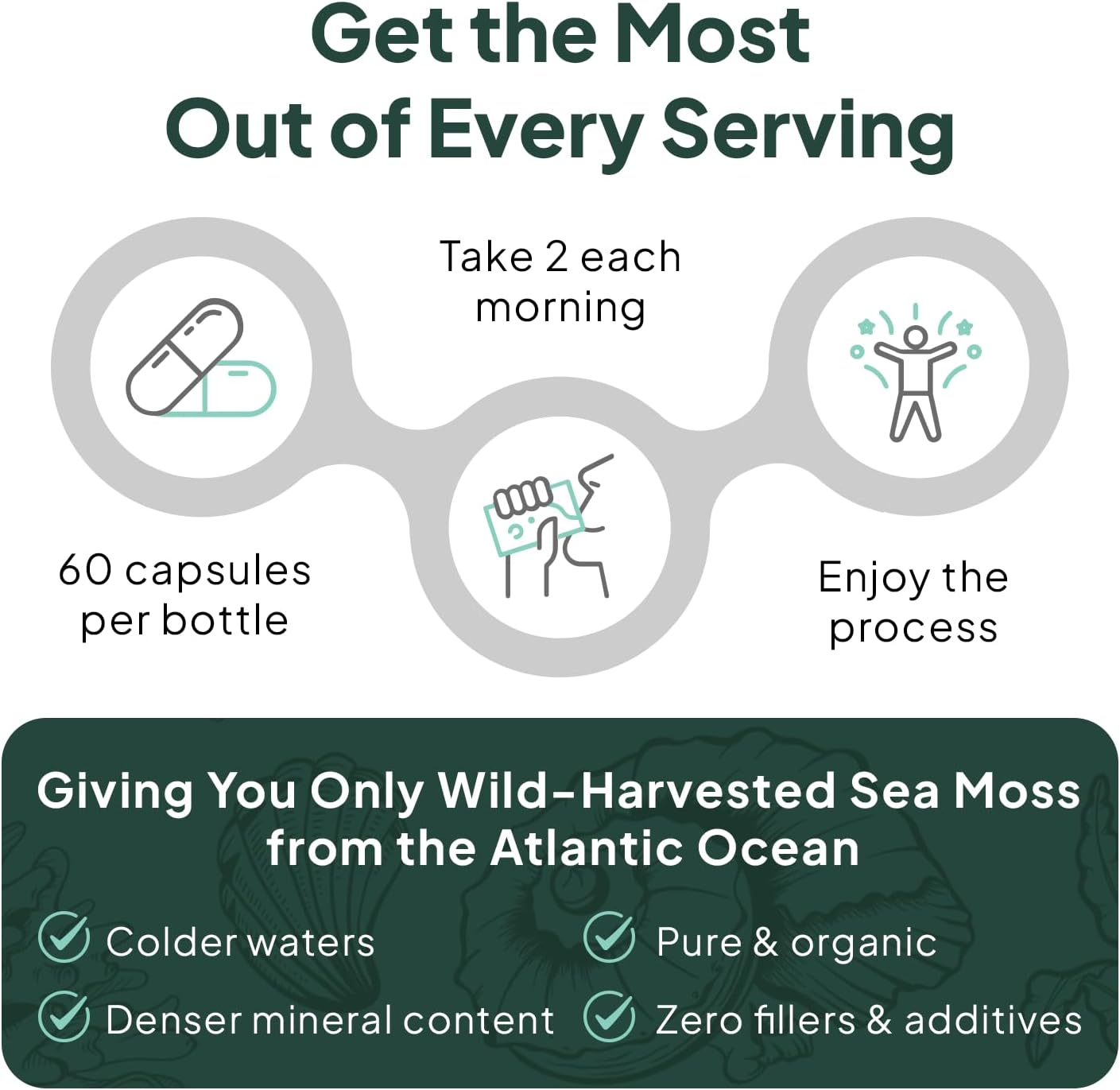 Organics Ocean Wild Sea Moss Capsules - 100% Organic Irish Sea Moss with Organic Chlorella, Bladderwrack and Vitamin D, 3 Bottles - görsel 7