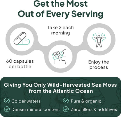 Organics Ocean Wild Sea Moss Capsules - 100% Organic Irish Sea Moss with Organic Chlorella, Bladderwrack and Vitamin D, 3 Bottles