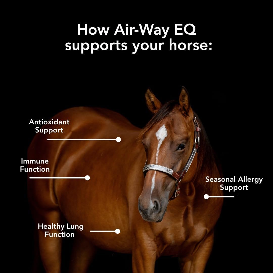 MVP Air-Way EQ - Supports Normal Respiratory Function and Seasonal Allergy Support in Horses, 2.27 kg (40 Servings) - görsel 5