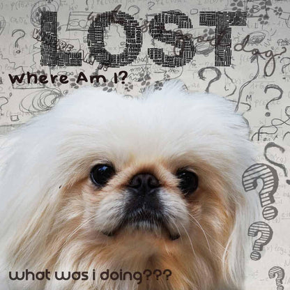 The Blissful Dog Pekingese Age Well Spray Aromatherapy