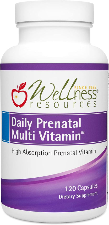 Wellness Resources Daily Pregnancy Multi Vitamin - Methylated Folate Zinc Iron Bisglycinate Choline & Key Nutrients - Natural Pregnancy Postnatal Postpartum Vitamins for Women - 120 Caps