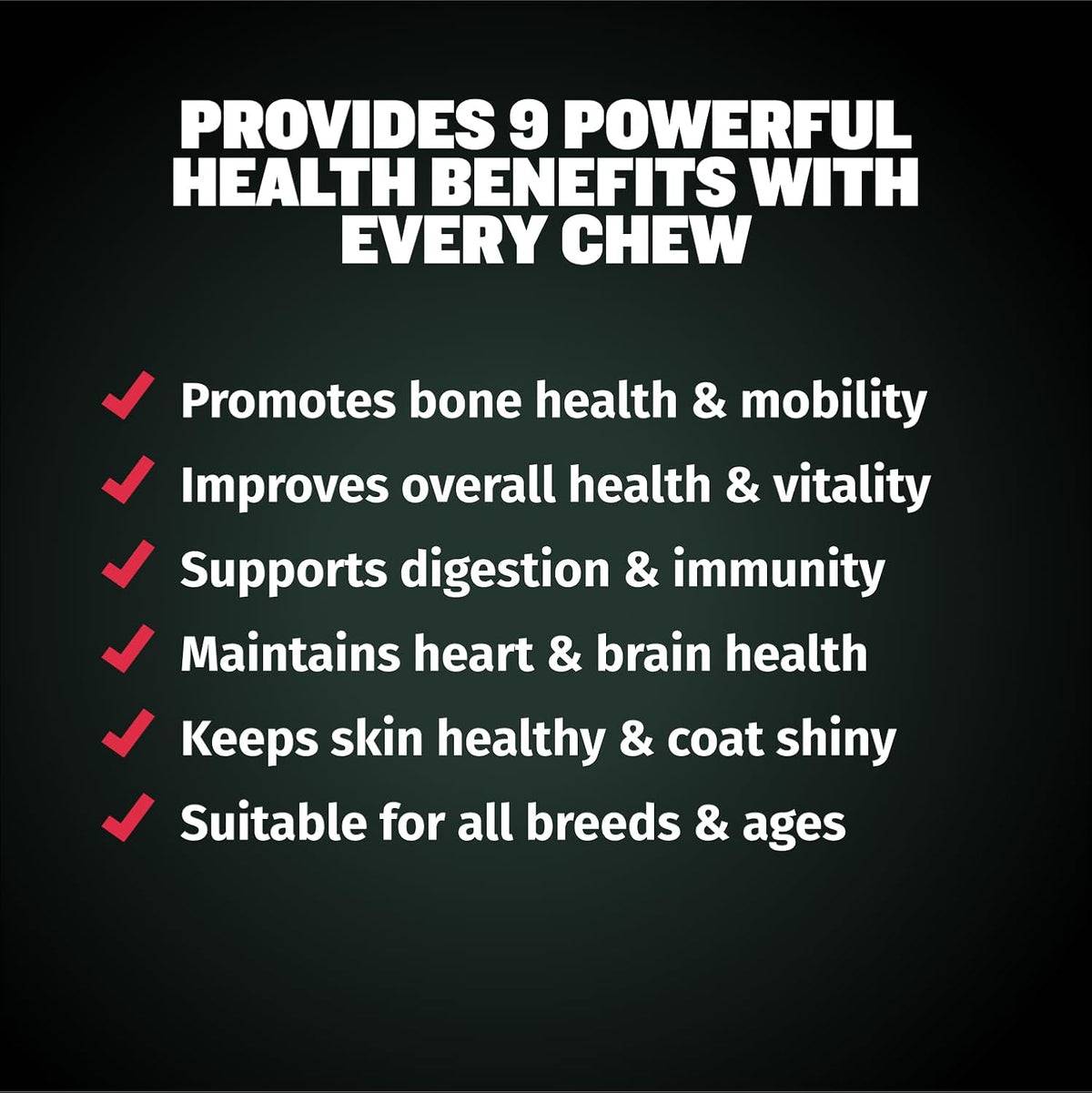 Bully Max 9-in-1 Dog Multivitamin, 75 Soft Chews - görsel 4