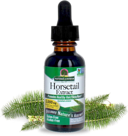 Nature's Answer Horsetail Extract (Alcohol Free) - 1 fl oz (30 ml) Super Concentrated