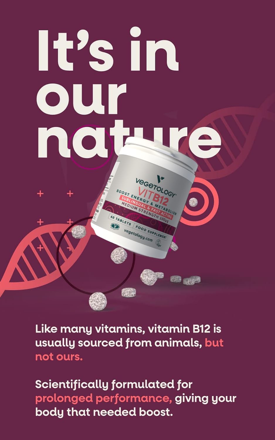 VEGETOLOGY Vegan Vitamin B12 Sublingual Supplement – for Metabolism & Energy (60 Tablets) - görsel 2