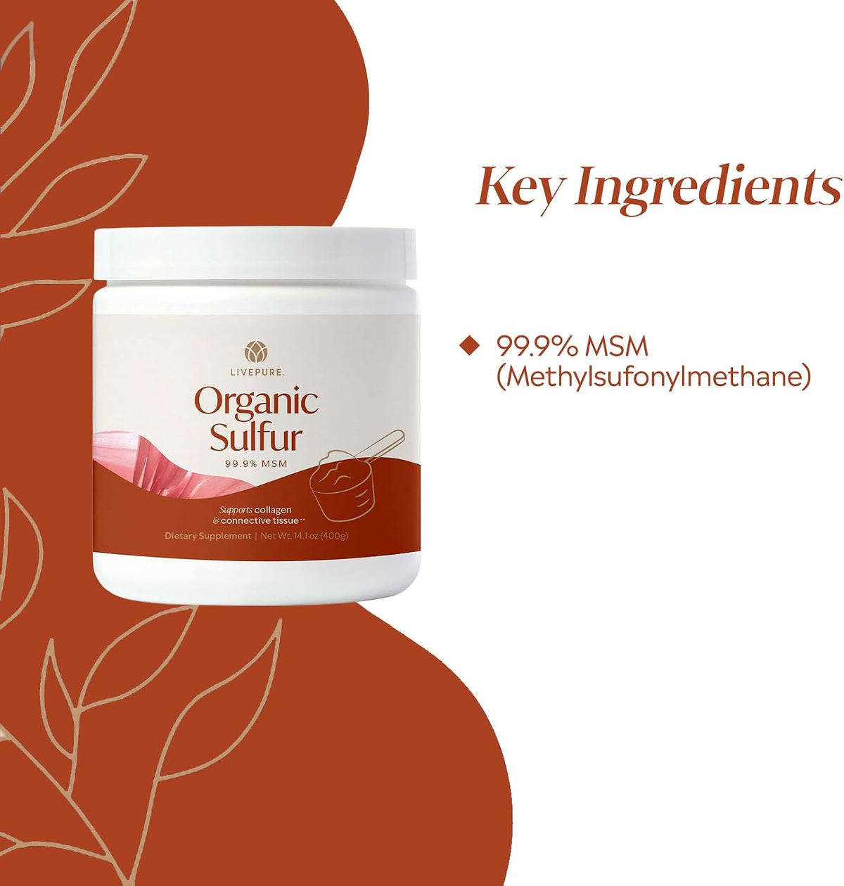 PURE Organic Sulphur MSM Powder - 400g (14.1 oz) - 99.9% Pure, Vegan Joint Support Supplement - görsel 4