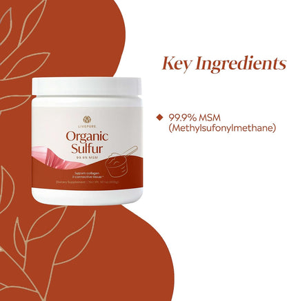 PURE Organic Sulphur MSM Powder - 400g (14.1 oz) - 99.9% Pure, Vegan Joint Support Supplement