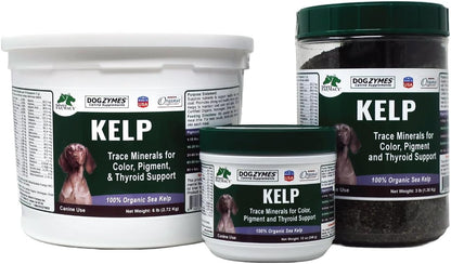 Dogzymes Organic Norwegian Kelp for Pets – 340g