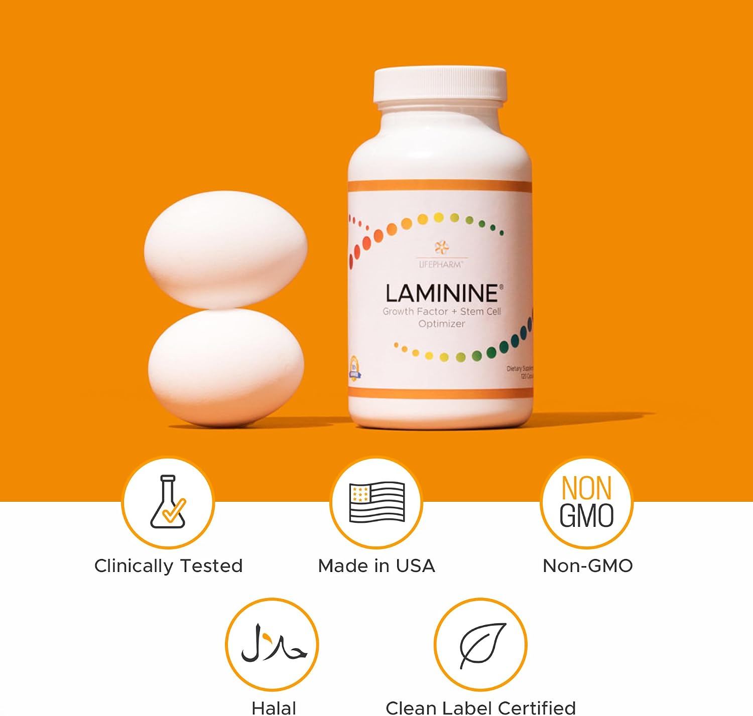 Laminine - Cellular Support Supplement for Overall Wellness, Cognitive Function, and Vitality (30 Capsules) - görsel 6
