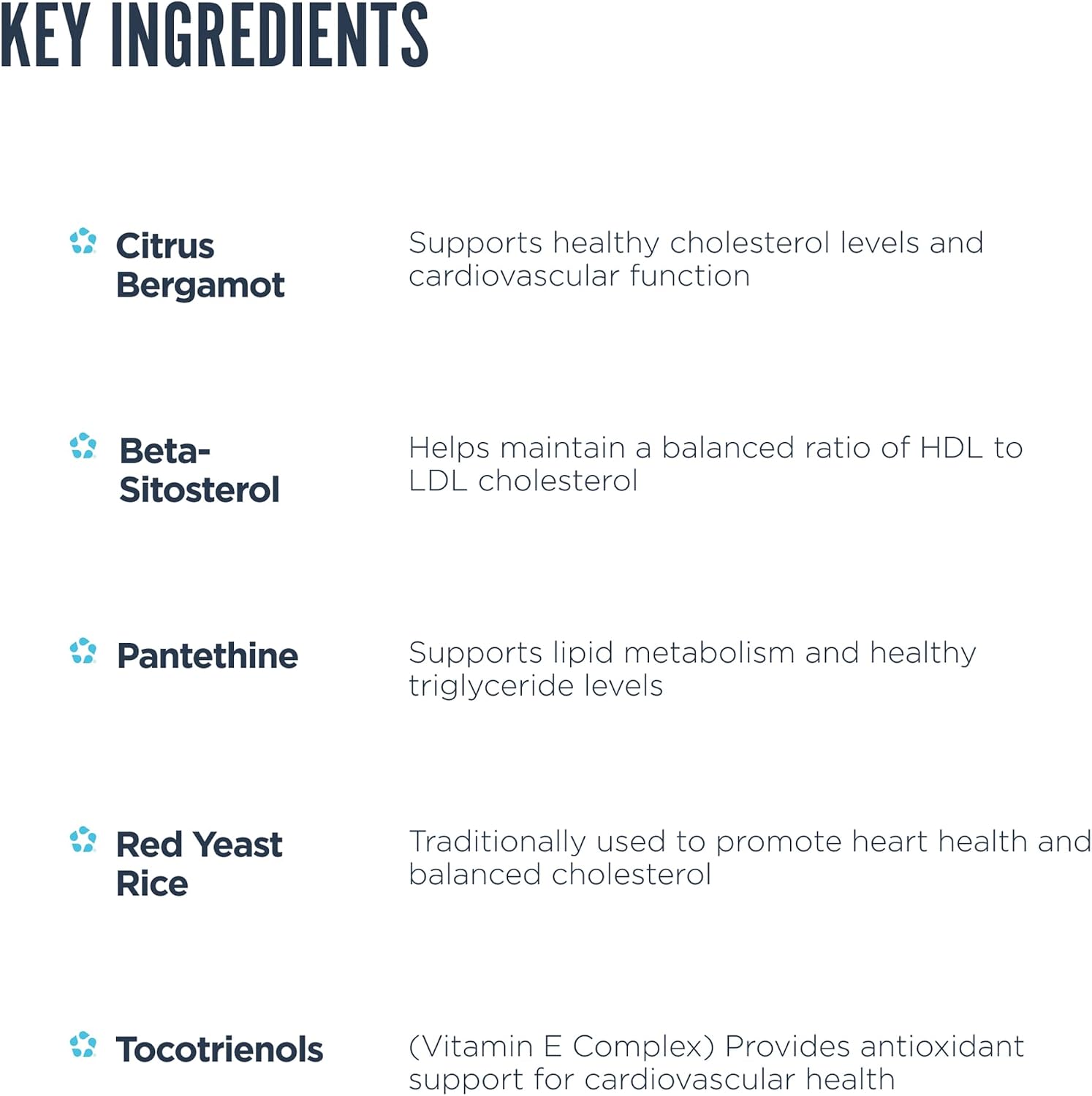 Revive MD Lipid Support Formula - görsel 4