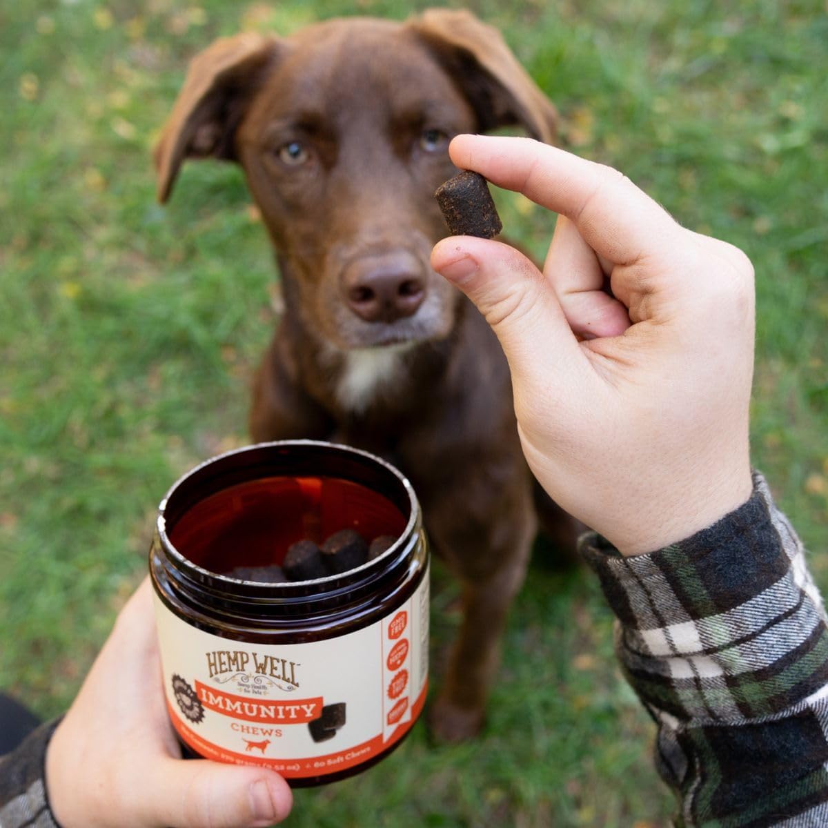 Immune - Allergy Support Dog Soft Chews - Long Lasting Relief for Seasonal Dog Allergies and Itching - Supports Healthy Skin and Immune System - Gut Health - Organic (30 Chews) - görsel 4