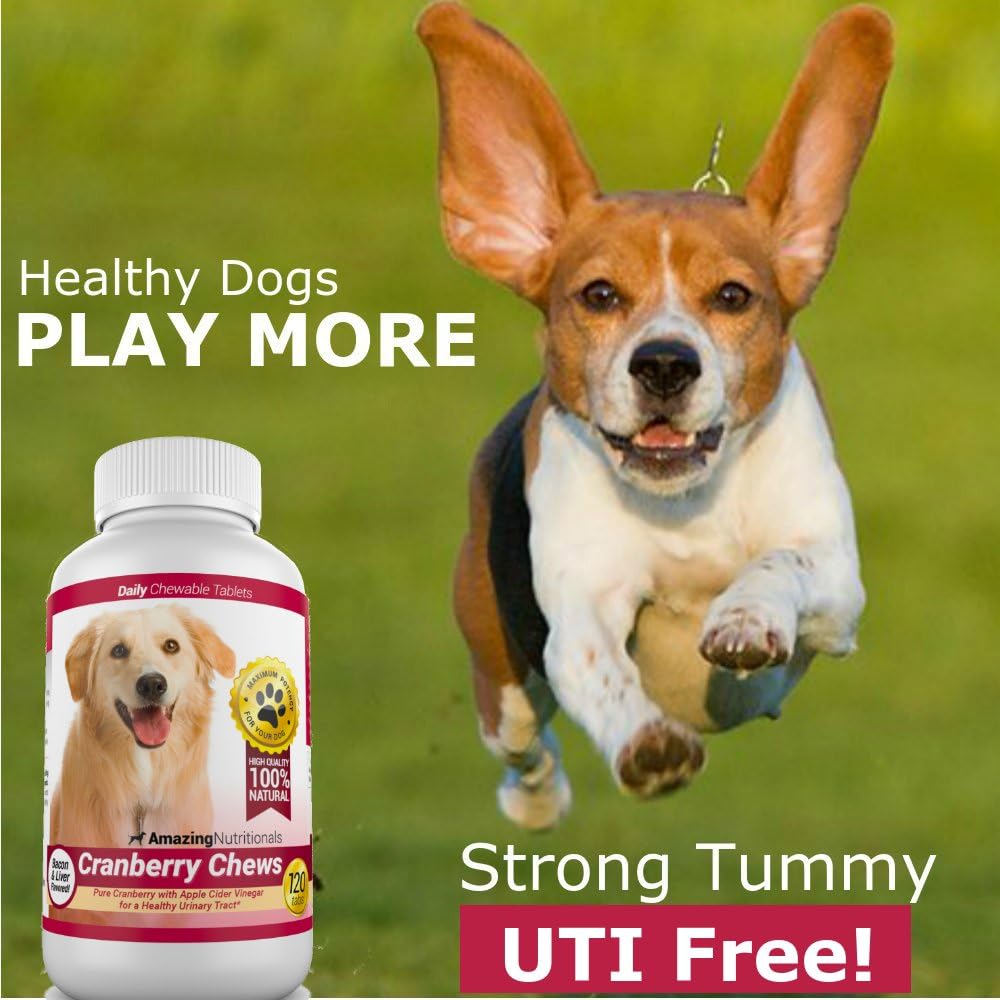 Amazing Nutritionals Cranberry Supplement for Dogs – Urinary Tract & Bladder Support – 120 Cranberry Chews with Apple Cider Vinegar – Bacon Flavour - görsel 4