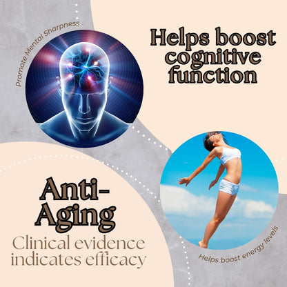 Research Labs Liposomal NMNH 500mg Per Serving, 60 Capsules – NAD+ Booster for Anti-Ageing