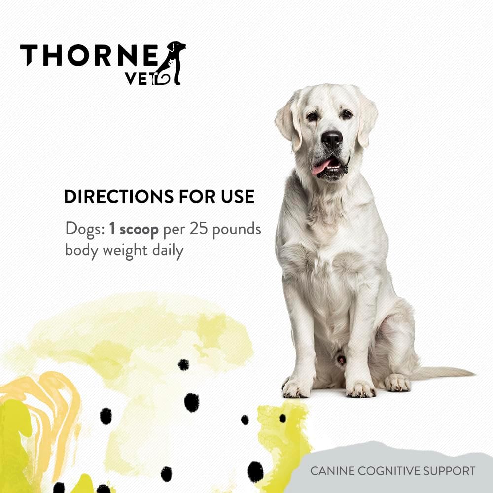 Canine Cognitive Support Powder for Dogs - Brain Health Supplement with B Vitamins and Antioxidants - 90 Scoops - görsel 6