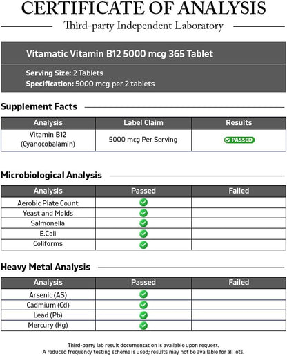 Vitamatic Vitamin B12 5000 mcg – 365 Fast Dissolve Tablets Berry Flavour – Supports Energy & Nervous System Health – Non-GMO, Gluten-Free