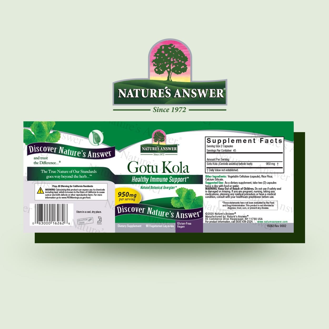 Nature's Answer Gotu Kola Herbal Vegetarian Capsules, 90 Capsules - görsel 2