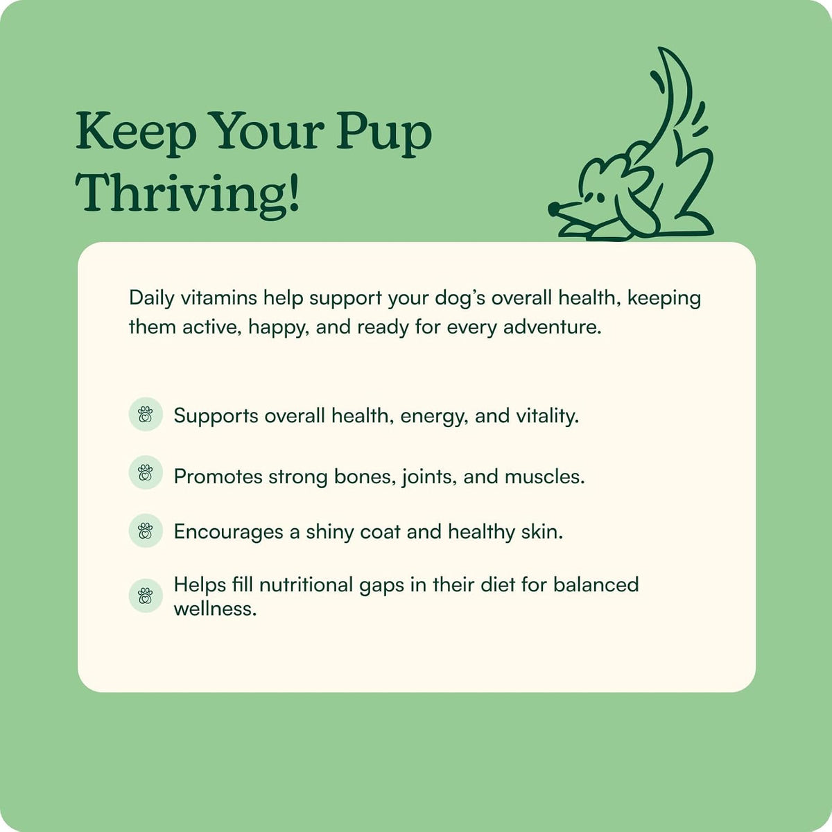 Reggie Morning Multivitamins for Dogs – – Vitamin C – An antioxidant that helps protect cells from damage and – Image 2