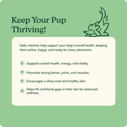 Reggie Morning Multivitamins for Dogs – – Vitamin C – An antioxidant that helps protect cells from damage and – Image 2