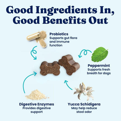Solid Gold No Poo Chews for Dogs – Coprophagia Deterrent & Faeces Eating Deterrent with Peppermint & Probiotics – 60ct