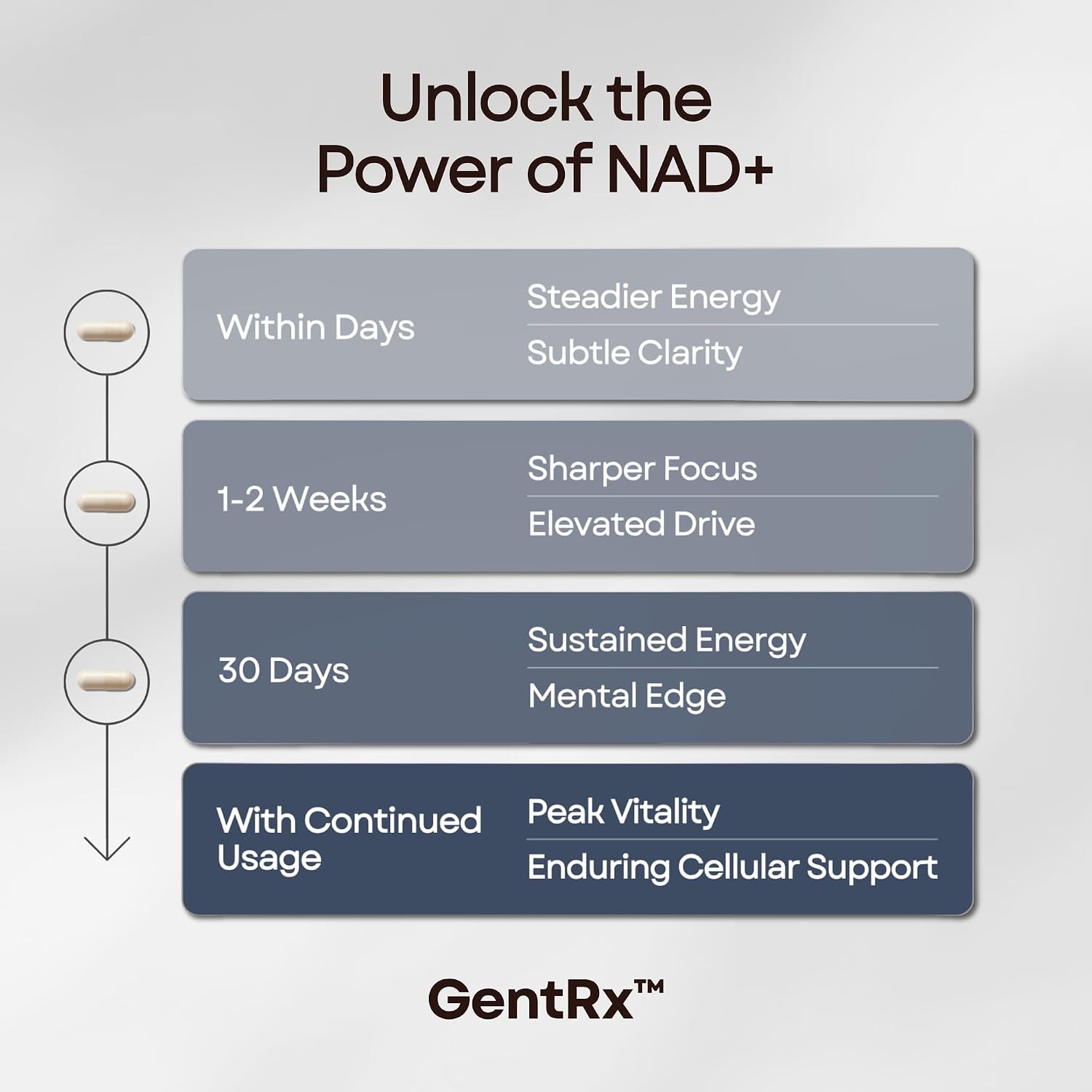 GentRx Third-Party Tested NAD+ & NR Supplement – Nicotinamide Riboside for Cellular Energy and Healthy Ageing, 30-Day Supply - görsel 6