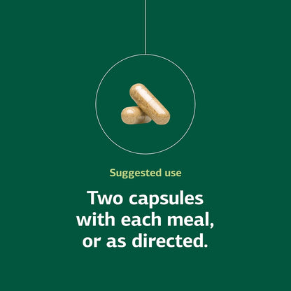Standard Process Senaplex – Nervous System Support with Niacin, Vitamin B12 & B6 – 90 Capsules