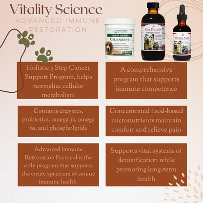 Vitality Science Advanced Immune Restoration Supplements for Dogs | Intensive Regeneration Protocol | Helps with Pain Relief (Medium)