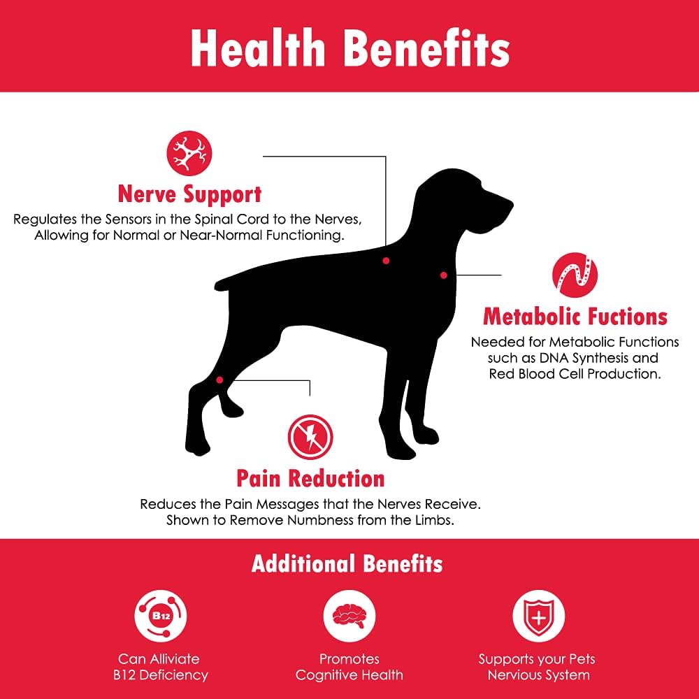 CobalaVet Vitamin B12 & B9 for Small Dogs & Cats – Supports Nervous System, Brain Function, Immune Defences & Cell Growth – Blood Cell Formation – Metabolic Pathway – 60 ml Liquid - görsel 5