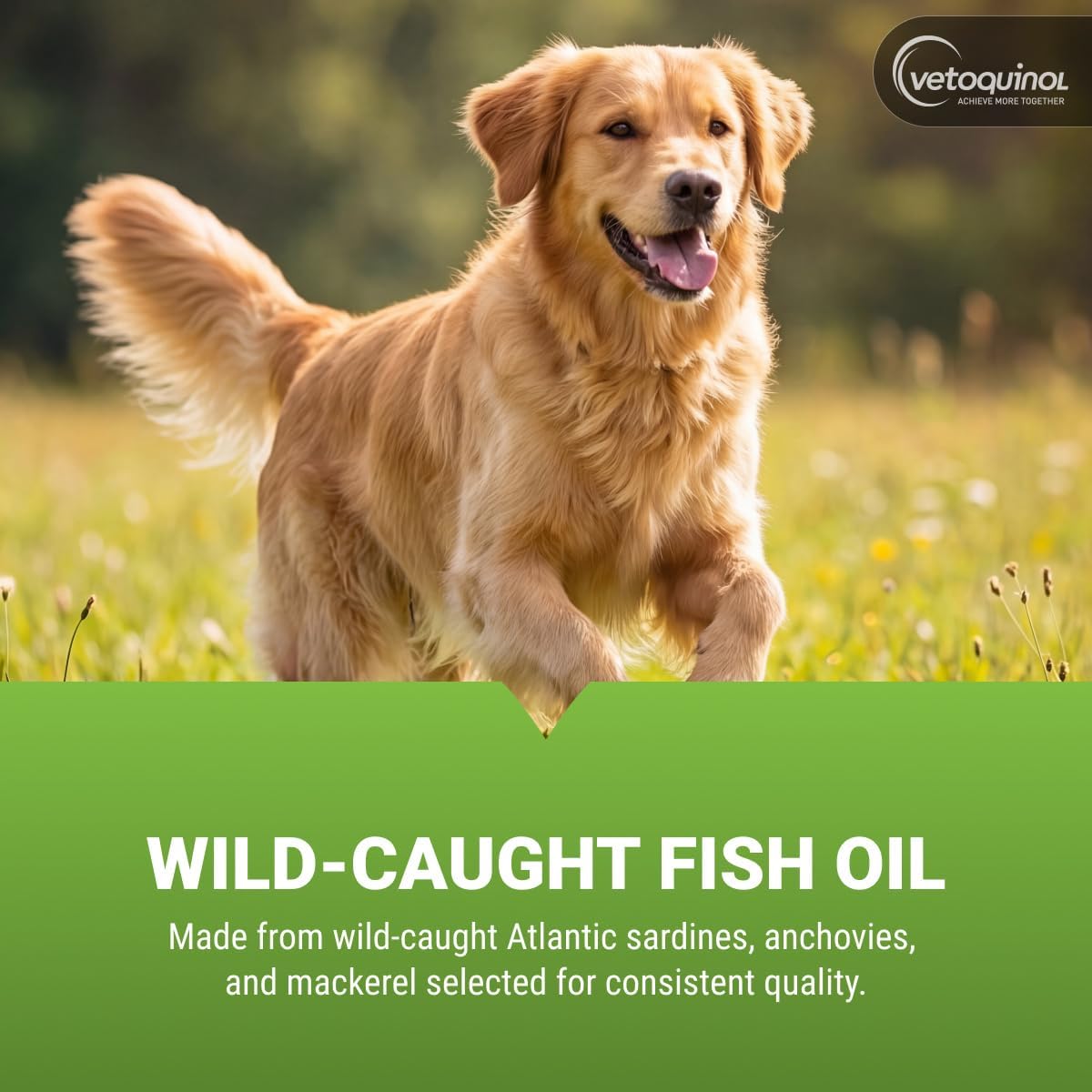 Vetoquinol Triglyceride Omega - Fish Oil for Dogs & Cats - Supports Healthy Skin, Coat & Normal Immune Response - Supplement with Vitamin Blend for Heart, Eye, Bone & Muscle Support - 60 Capsules - görsel 4