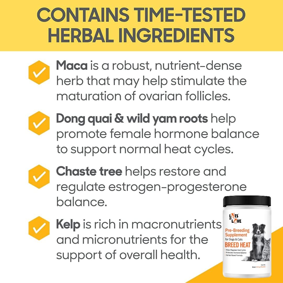 Breed Heat - Breeding & Reproductive Supplement for Dogs & Cats (Formerly Thomas Labs, Same Product) - 454 g Powder - görsel 3