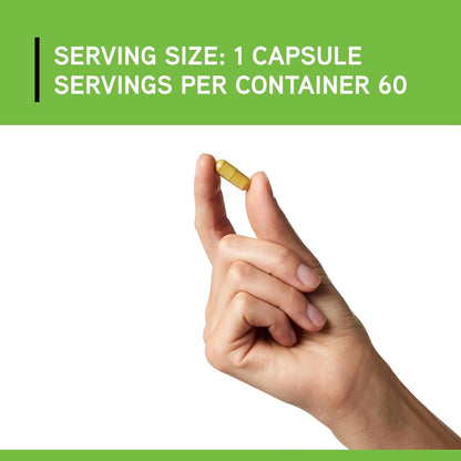 DAVINCI Labs Phyto Benefits - For Heart, Brain & Immune Health, GLP-1 Production & More with Curcumin, Quercetin, Green Tea & More - Vegetarian, Gluten-Free, Soya-Free - 60 Capsules