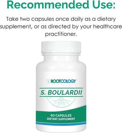 Rootcology S. Boulardii Probiotic Capsules – Shelf-Stable 10 Billion CFU, 60 Capsules