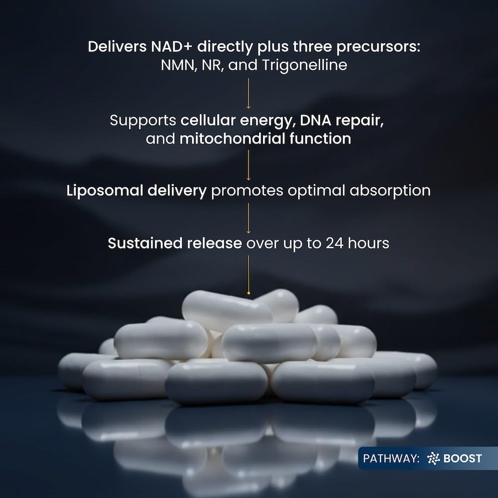Renue By Science NAD+ Complete - Liposomal NAD Supplement with NMN, NR & Trigonelline (120 Capsules) - görsel 5