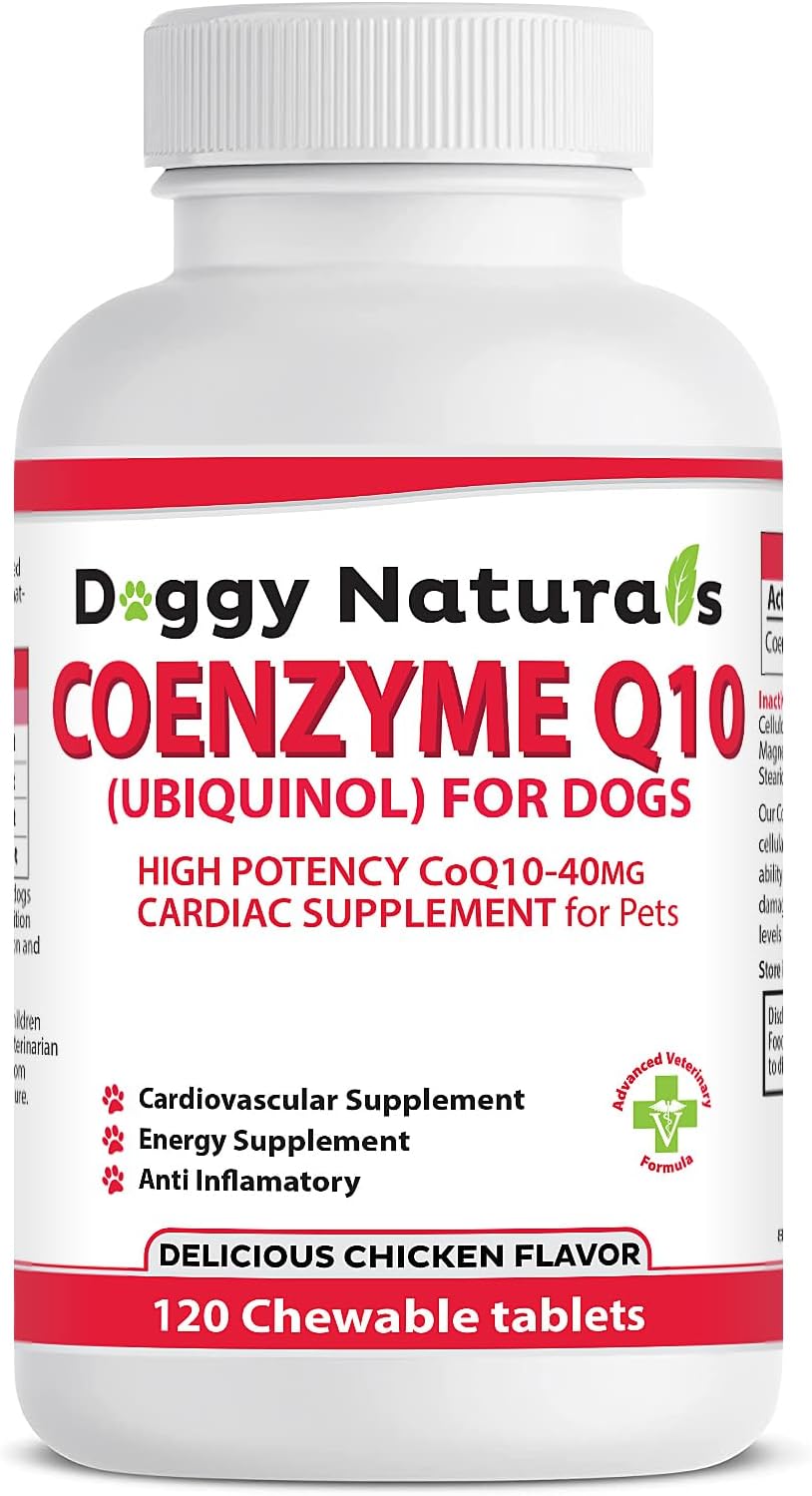 Coenzyme Q10 High Potency COQ10-40mg UBIQUINOL for Dogs (120 Tablets) - Made in USA - görsel 1