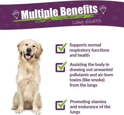 Amber NaturalZ Numo Care Respiratory Support for Dogs - Herbal Lung Formula (118 ml)