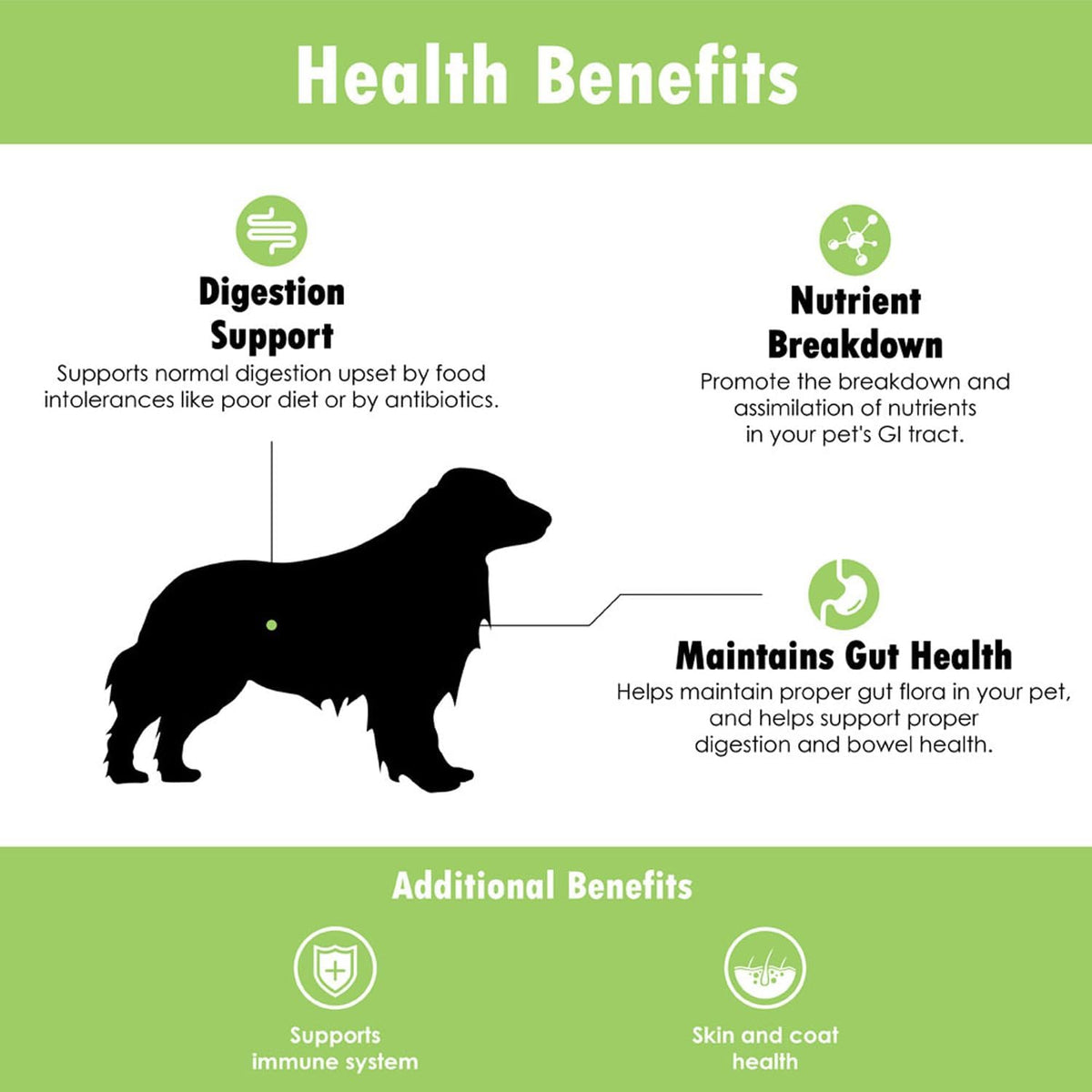 Proflora Probiotic for Dogs - Digestive Health, Immune Support, Skin and Coat - 90 Servings (3-Pack) - görsel 6