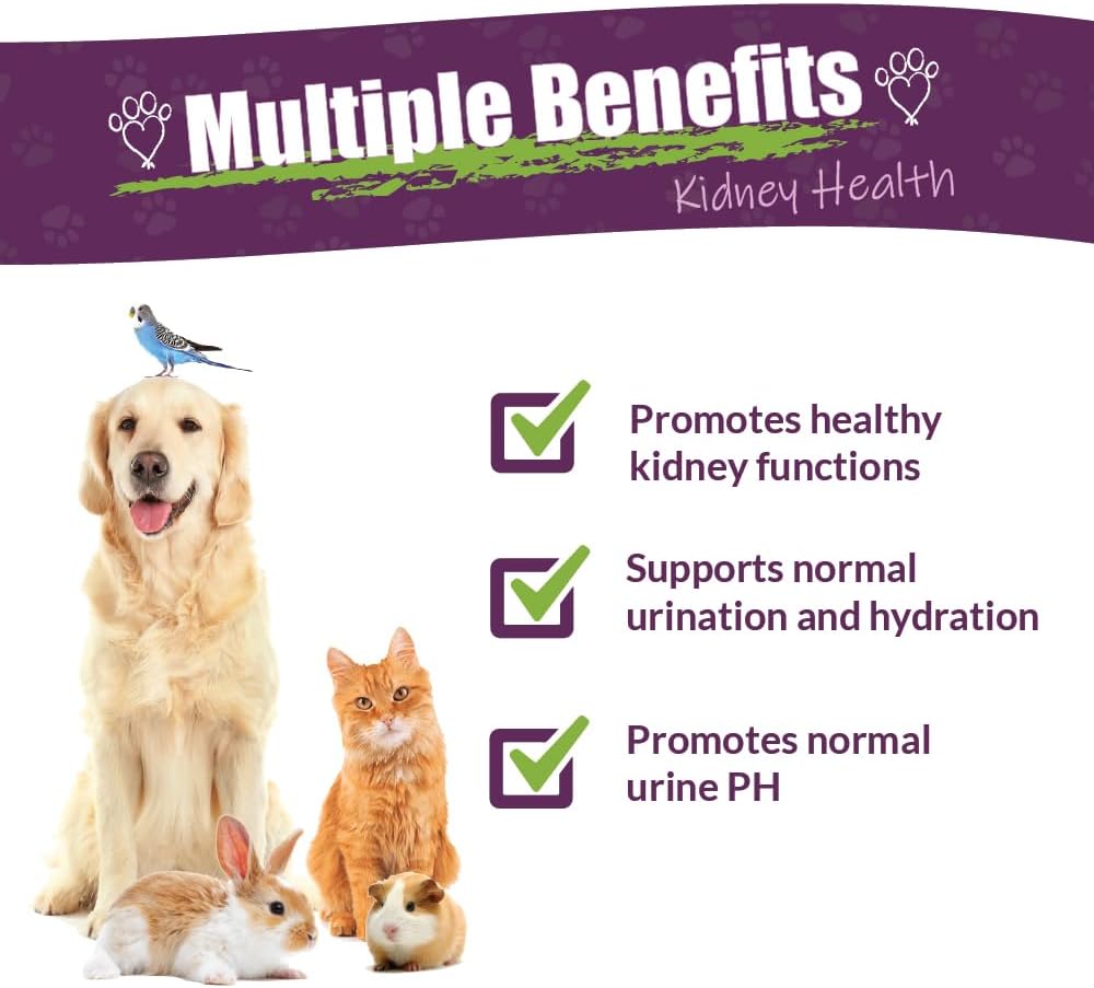 Amber NaturalZ Kidney Rejuvenator Herbal Supplement for Dogs, Cats, Birds, Rabbits, and Guinea Pigs | Supports Normal Kidney Function | Natural Aid for Kidney Health – 30 ml - görsel 2