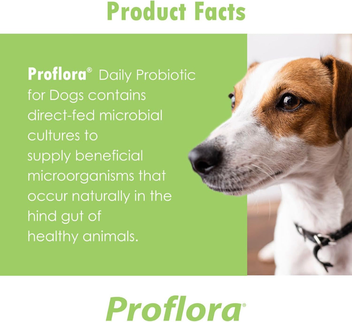 Proflora Probiotic for Dogs - Digestive Health, Immune Support, Skin and Coat - 90 Servings (3-Pack) - görsel 5