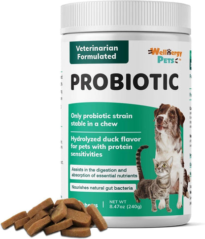 Wellnergy Daily Probiotic & Prebiotics Soft Chew for Dogs and Cats (60 Chews)