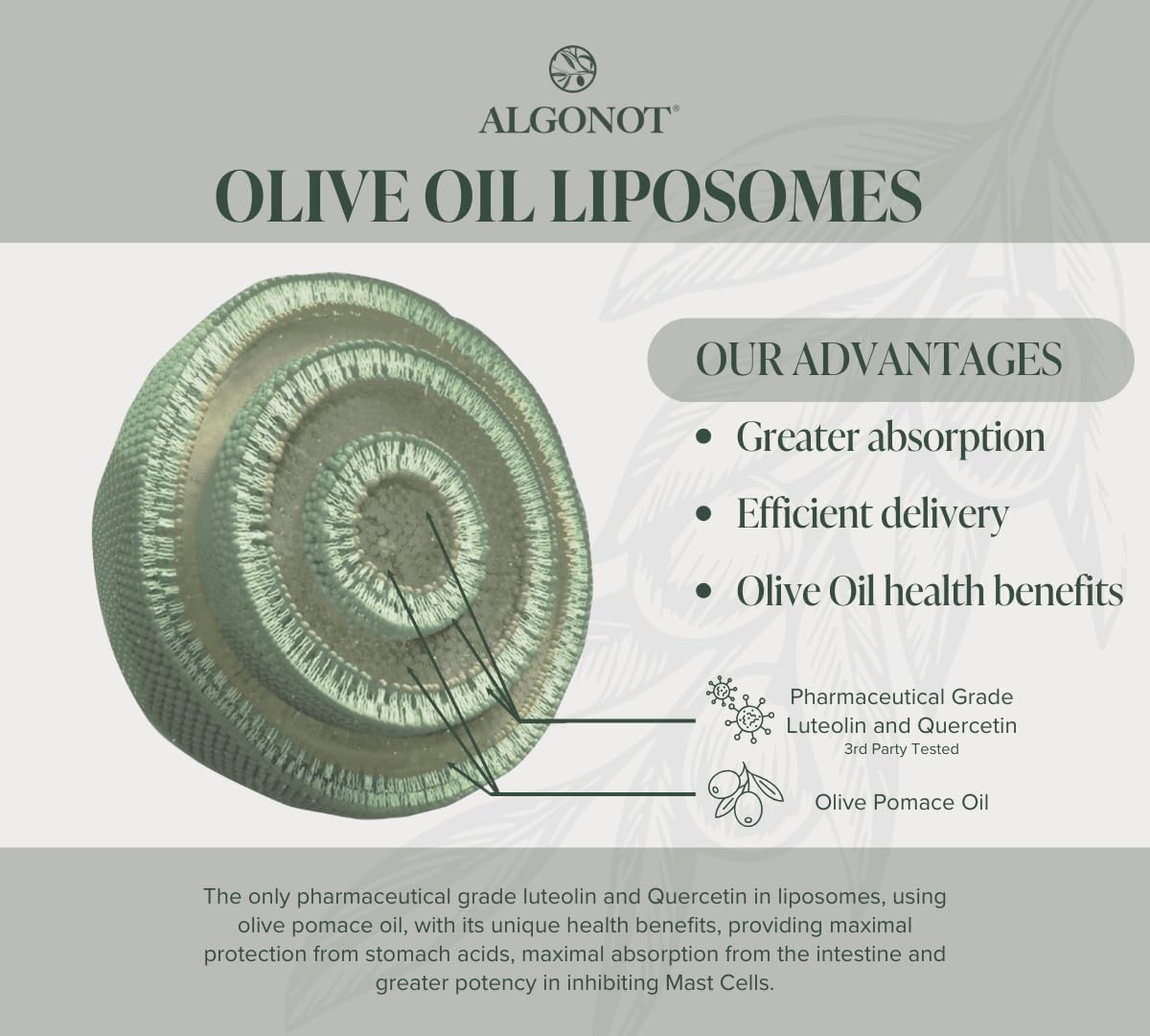 BrainGain, Luteolin & Key Ingredients with EVOO - Dietary Supplement - görsel 4