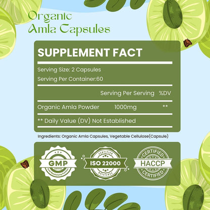 Amla Capsules (Phyllanthus Emblica) – Amalaki Amla 120 Capsules | Natural Antioxidant Superfood | Herbal Supplement Made with Organic Amla Fruit Powder