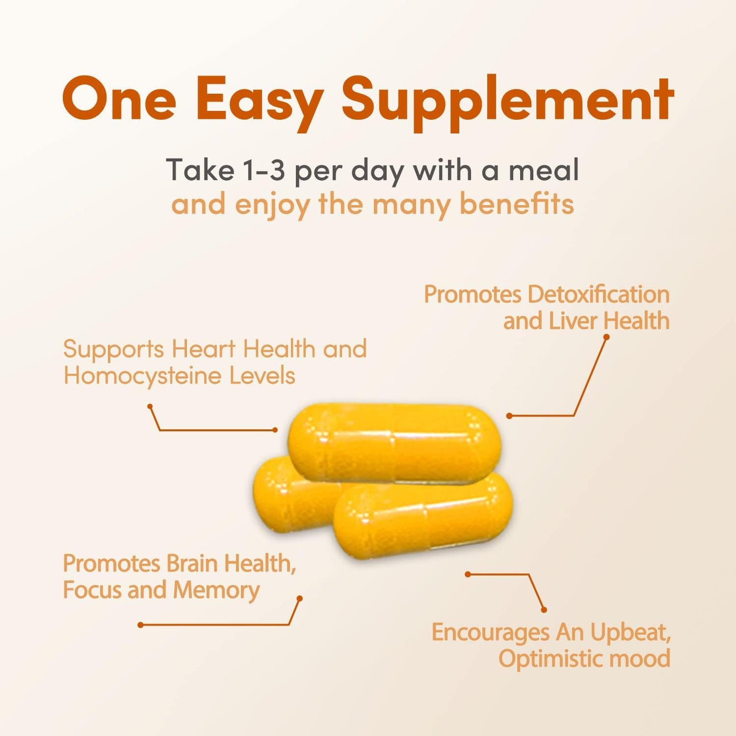 Methyl Factors + - 60 Capsules | B Vitamins, Folate & Riboflavin for Heart, Liver & Brain Function* - görsel 2