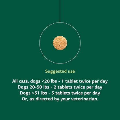 Standard Process VF Bio-Dent for Pets – Bone Growth & Healthy Tissue Support – Oral Health Supplement for Cats & Dogs – 90 Tablets